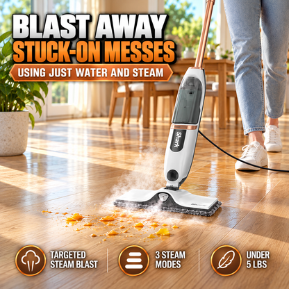 Steam Mop 2-in-1